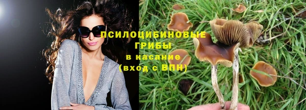 прущая мука Балахна